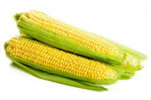 SWEET CORN from India